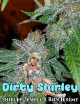 The Seed Kompany Dirty Shirley