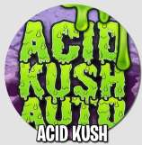 Urban Legends Acid Kush Auto