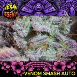 Urban Legends Venom Smash Auto