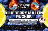 Yin Yang Seeds Blueberry Muffin Pucker