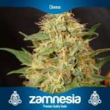 Zamnesia Cheese