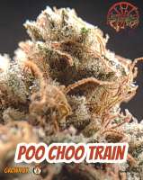 Amish Warrior Seeds Poo Choo Train - photo réalisée par 420meowmeowmeow