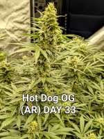 Imagen de Craigger77 (Hot Dog OG)