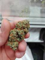 Imagen de EckMcjagger (Pineapple Chunk)