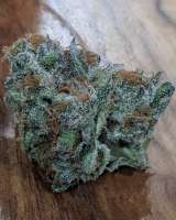 Beyond Hype Seed Co Blueberry Muffin Top - photo réalisée par Beyondhypeseedco