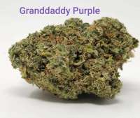 Blim Burn Seeds Granddaddy Purple - photo réalisée par TheHappyChameleon