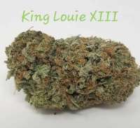 Imagen de TheHappyChameleon (King Louis XIII)