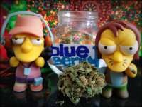 Imagen de JustinSanDiego (Blueberry)