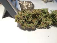 Imagen de dieselhaze (AutoEuforia)