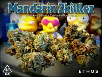 Imagen de Justin108 (Mandarin Zkittlez)