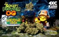 Imagen de Justin108 (Sour Power OG)