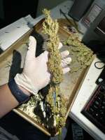 Ministry of Cannabis Big Bud - photo réalisée par pdxgrow