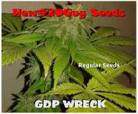 Imagen de New420Guy (GDP Wreck)