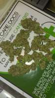 Imagen de WildBmx82 (Misty Kush)