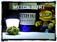 Ocean Grown Seeds Witch Hunt - photo réalisée par Justin108