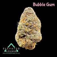 Plantamaster Seeds Bubble Gum - photo réalisée par ElevatedLoungeDC