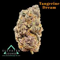 Plantamaster Seeds Tangerine Dream - photo réalisée par ElevatedLoungeDC