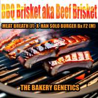 The Bakery Genetics BBQ Brisket - photo réalisée par TheBakeryGenetics