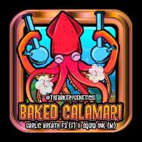 The Bakery Genetics Baked Calamari - photo réalisée par TheBakeryGenetics