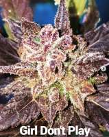 Imagen de TheBakeryGenetics (Girl Dont Play)