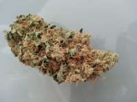 Imagen de KushIsGood [White Ice]