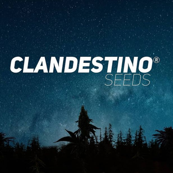 Logo Clandestino Seeds