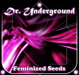Logo Dr. Underground