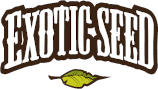Logo Exotic Seed