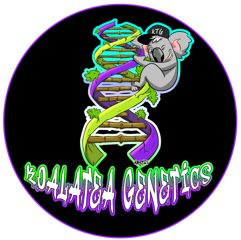 Logo Koalatea Genetics