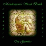 Logo Mandragora´s Seed Bank