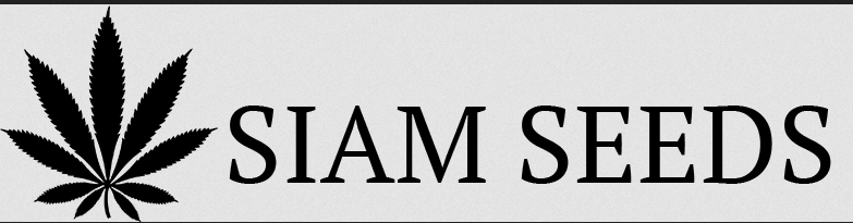 Logo Siam Seeds