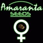 Logo Amaranta Seeds