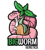 Logo Bigworm Genetics