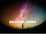 Logo Celestial Seeds