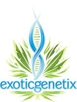 Logo Exotic Genetix