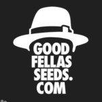 Logo Goodfellas Seeds