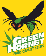 Logo Green Hornet