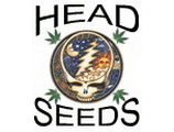 Logo Head Seeds