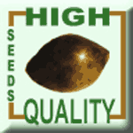 Logo High Quality Seeds