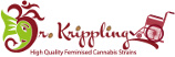 Logo Dr. Krippling Seeds