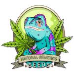 Logo Natural Genetics Seeds