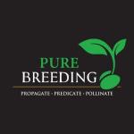 Logo Pure Breeding