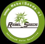 Logo Rebel Seeds