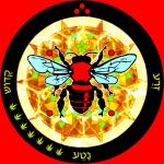 Limoncello (par Red Bee Seeds) :: Info de Variété