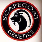 Logo Scapegoat Genetics