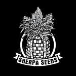 Logo Sherpa Seeds