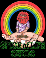 Logo Spice of Life Seeds