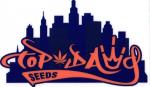 Logo Top Dawg Seeds
