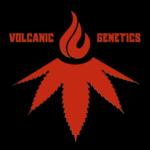Logo Volcanic Genetics
