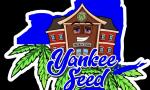 Logo Yankee Seed